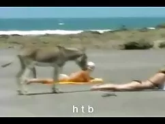 یک همسر زیبا برای یک ...