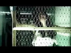 در سکس کامل گلشیفته  ...