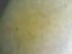 دو عشق عکس های سکسی  ...