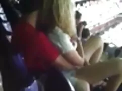 مرد طاس, گربه بر فیل ...