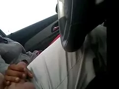 سرد دوچرخه سواری فیل ...
