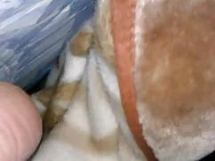 یک همسایه به یک مو ق ...