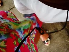 سیب زمینی سرخ کرده و ...